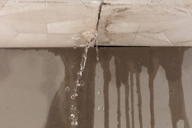 Professional Burst Pipe Cleanup technician working in Hillsboro, TN